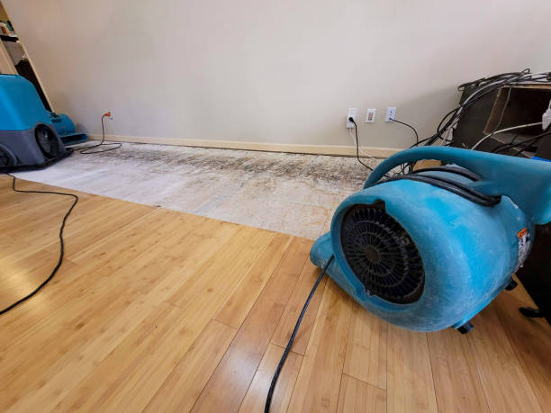Professional Emergency Water Damage technician working in Apison, TN